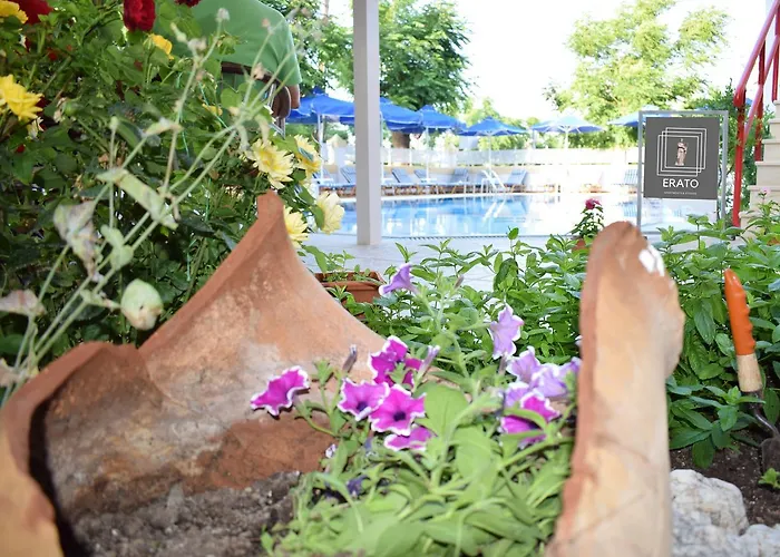 Erato & Ξενοδοχείο με διαμερίσματα